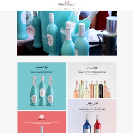 website-3